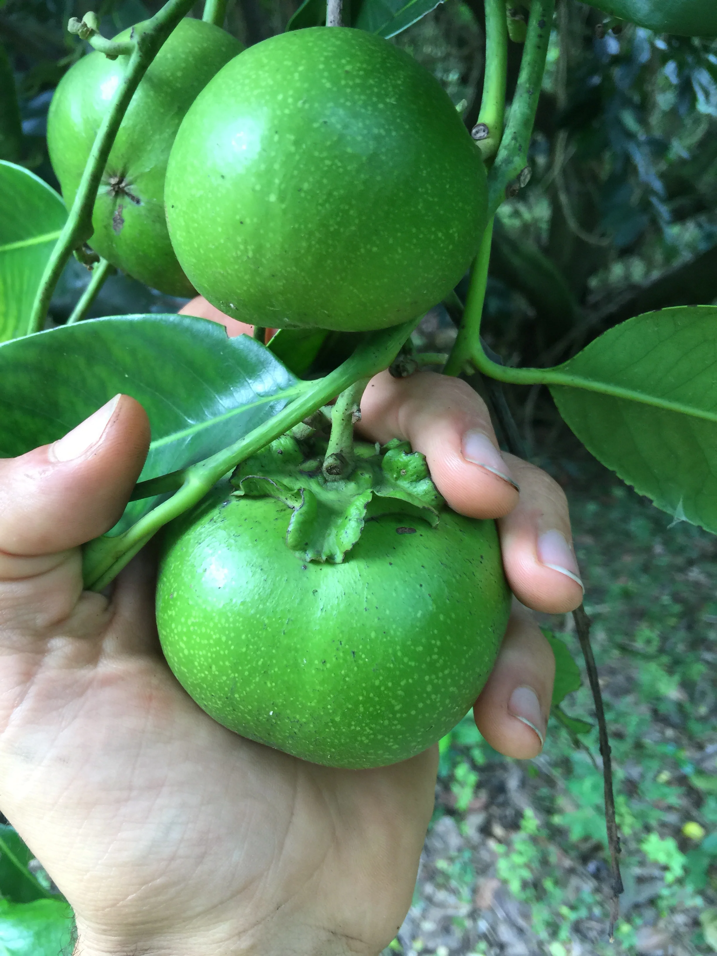 Thumbnail 22