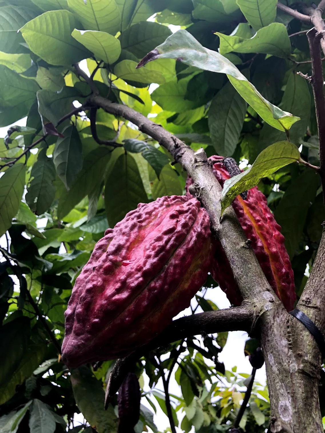 Thumbnail 15
