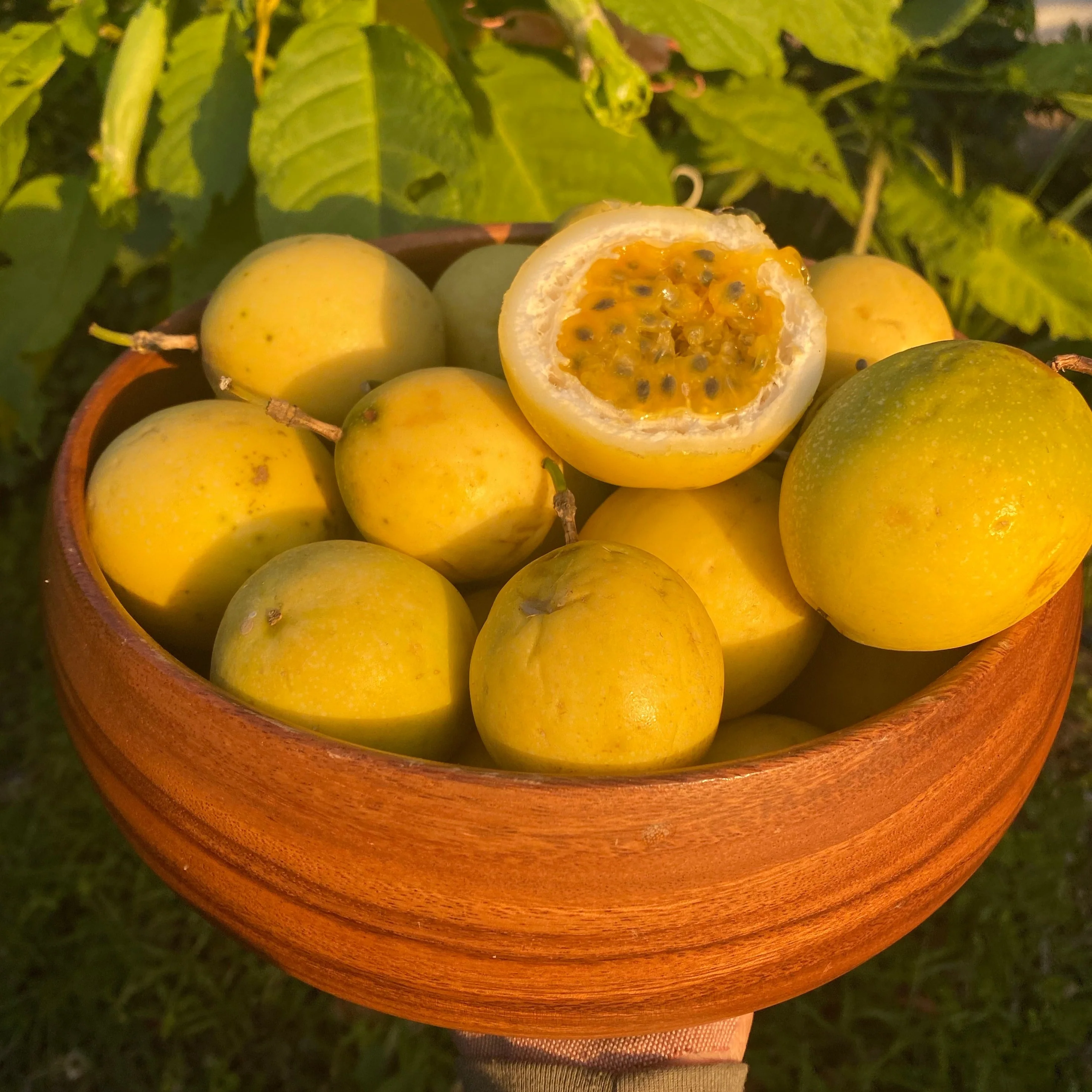 Thumbnail 17