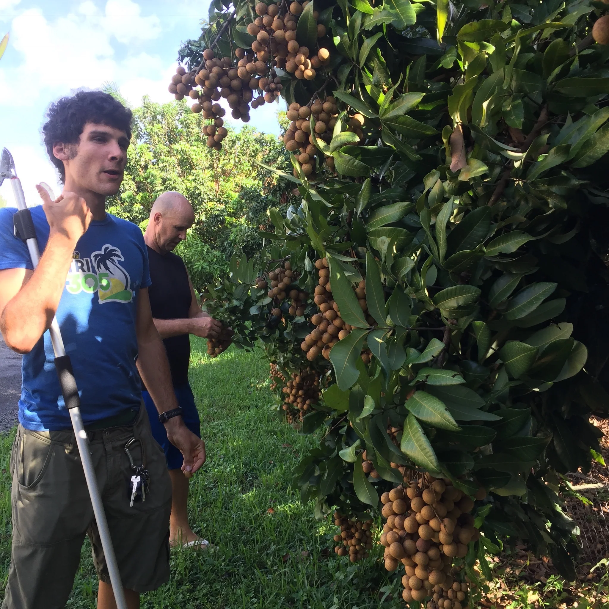 Thumbnail 17