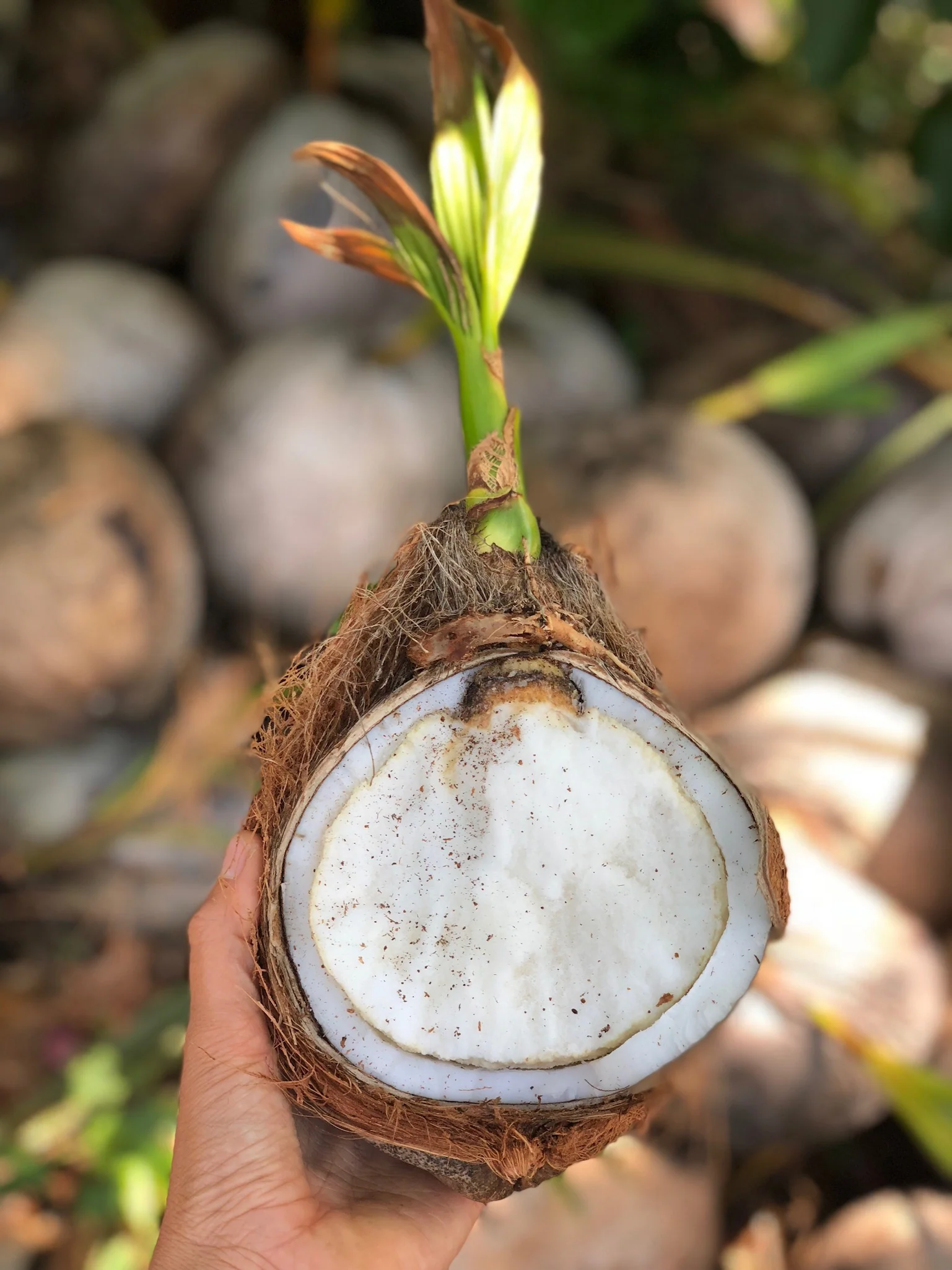 Thumbnail 22